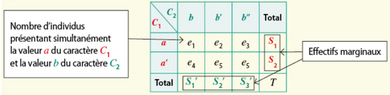 Schéma d'un tableau croisé d'effectifs avec effectifs marginaux