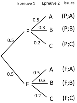 Arbre de probabilité pondéré de l'expérience à deux épreuves