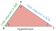 Côtés adjacents dans le triangle ABC rectangle en A