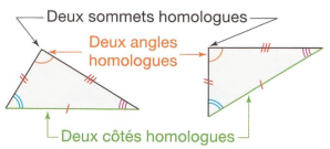 Côtés et angles homologues