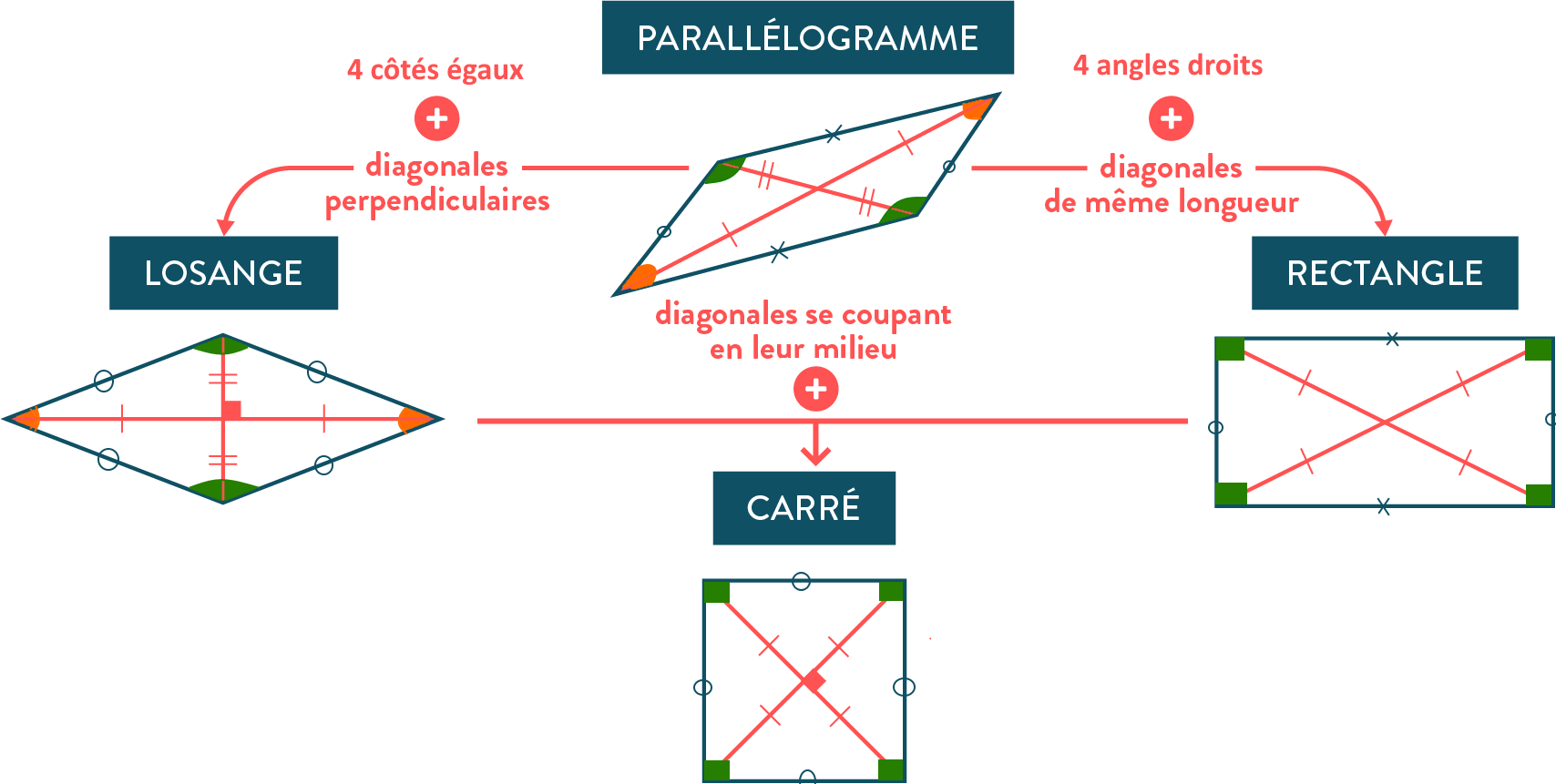 Carte mentale récapitulative — parallélogrammes, rectangle, losange, carré