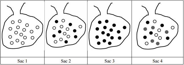 Quatre sacs contenant des boules blanches, grises ou noires