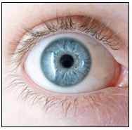 Illustration couleur des yeux