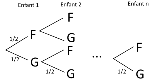 Arbre des possibilités fille/garçon