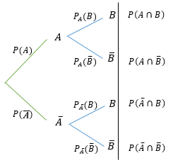 Arbre pondéré avec probabilités conditionnelles