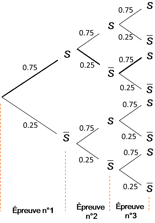 Arbre pondéré d'un schéma de Bernoulli avec n=3