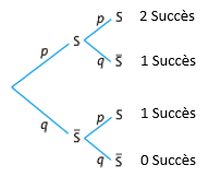 Arbre de Bernoulli pour n=2