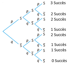 Arbre de Bernoulli pour n=3