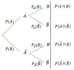 Arbre pondéré avec les notations de probabilité conditionnelle